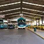 Η παροχή αυτή ισχύει αυτόματα με την επίδειξη της ισχύουσας ψηφιακής κάρτας ανεργίας, αρκεί ο κάτοχος να διατηρεί την ιδιότητα του ανέργου κατά τη στιγμή του ελέγχου.