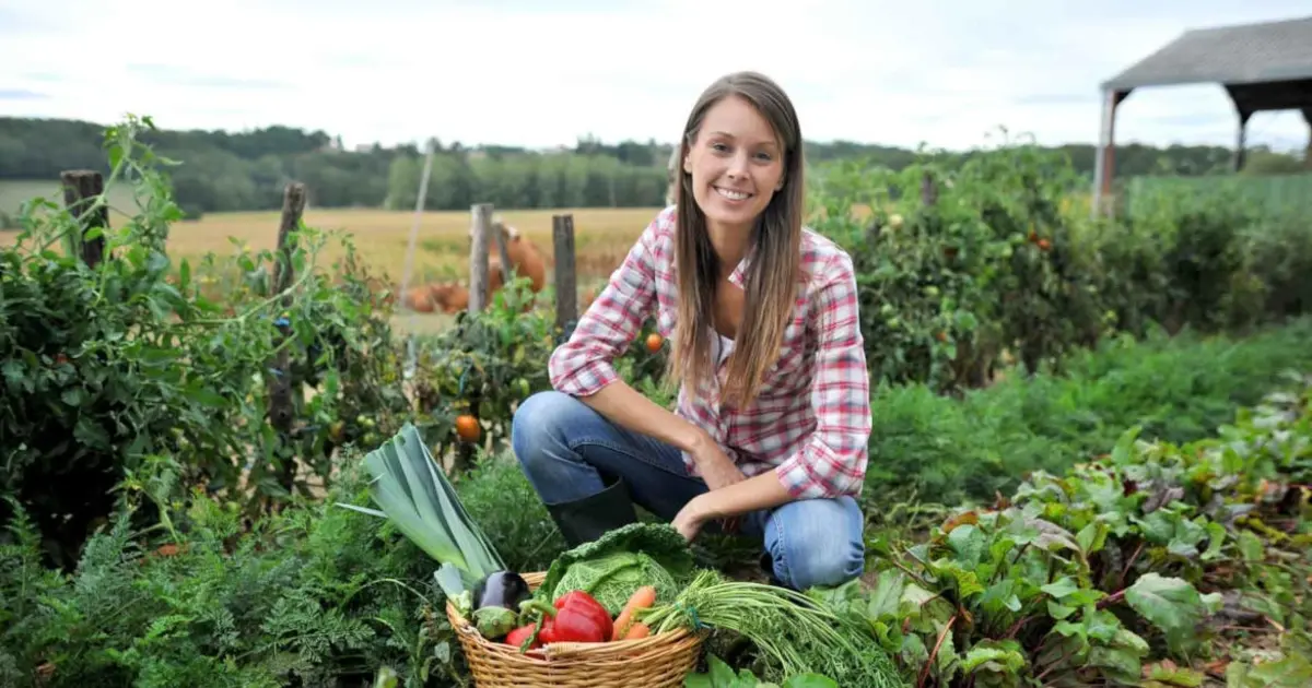 Η ενίσχυση αυτή, η οποία μπορεί να φτάσει έως και τις 42.500 ευρώ συνολικά, αποτελεί την "ένεση" ρευστότητας που χρειάζεται κάθε νέος παραγωγός για να ξεκινήσει τις επενδύσεις στο χωράφι ή την κτηνοτροφική του μονάδα.