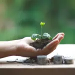 Τα πιστοποιημένα σεμινάρια στην πράσινη οικονομία και τις ψηφιακές δεξιότητες προσφέρουν πλέον έως και 2 μόρια στις προκηρύξεις του ΑΣΕΠ, αποτελώντας το νέο ισχυρό πλεονέκτημα για διορισμούς στο Δημόσιο το 2026. Η στροφή της κυβερνητικής πολιτικής προς την οικολογική μετάβαση και τον ψηφιακό μετασχηματισμό έχει αλλάξει τα δεδομένα, καθώς η κατοχή τέτοιων πιστοποιήσεων δεν θεωρείται πλέον ένα απλό επιπλέον προσόν, αλλά βασικό κριτήριο κατάταξης για χιλιάδες θέσεις ΠΕ, ΤΕ και ΔΕ.