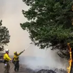 Η διαδικασία βρίσκεται στην τελική ευθεία του ελέγχου των αιτήσεων από το ΑΣΕΠ, καθώς ο όγκος των συμμετοχών ήταν ιδιαίτερα μεγάλος, γεγονός που καθυστέρησε ελαφρώς την έκδοση των πινάκων σε σχέση με τον αρχικό προγραμματισμό.
