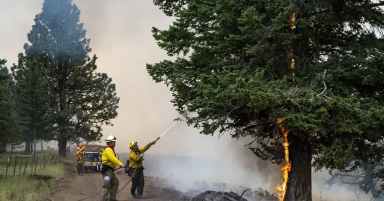 Η διαδικασία βρίσκεται στην τελική ευθεία του ελέγχου των αιτήσεων από το ΑΣΕΠ, καθώς ο όγκος των συμμετοχών ήταν ιδιαίτερα μεγάλος, γεγονός που καθυστέρησε ελαφρώς την έκδοση των πινάκων σε σχέση με τον αρχικό προγραμματισμό.