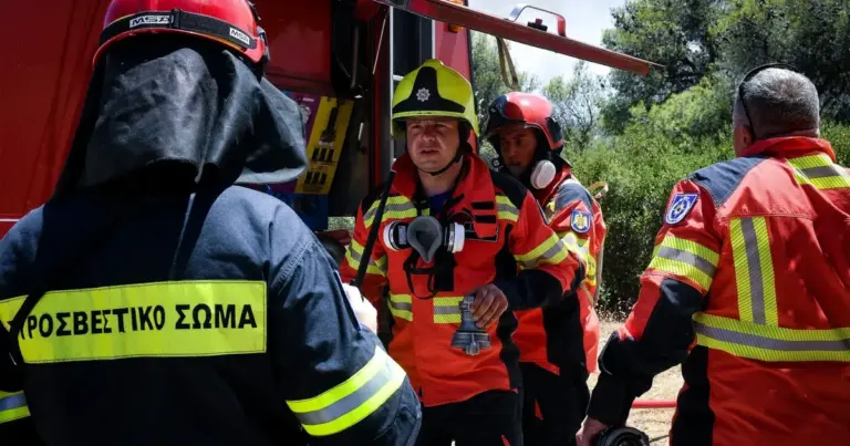 Οι προσλήψεις αυτές αφορούν επταμηνιαίες συμβάσεις εργασίας, με σκοπό την κάλυψη των αυξημένων αναγκών πυροπροστασίας σε όλη την επικράτεια, και η επιλογή των υποψηφίων γίνεται με σύστημα μορίων που δίνει έμφαση στην εμπειρία, την εντοπιότητα και τα ειδικά προσόντα.