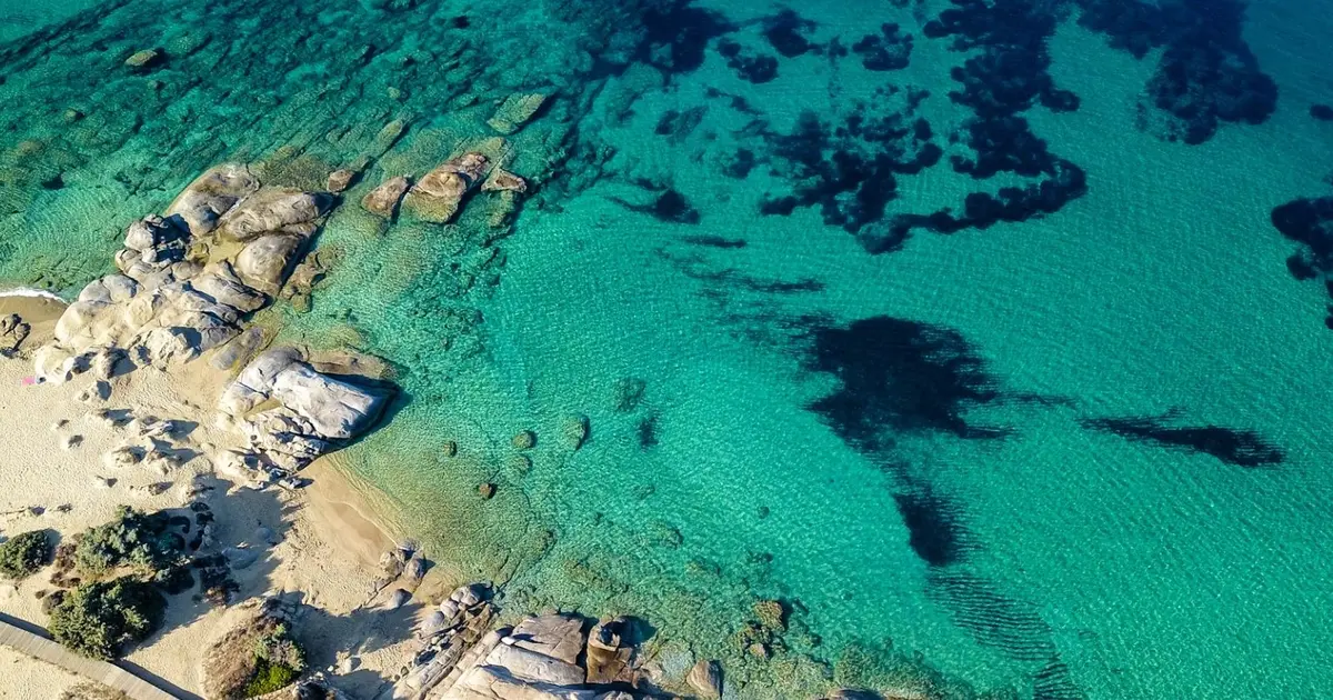 Η πιστοποίηση της οικογενειακής κατάστασης μέσω του ψηφιακού πιστοποιητικού από το Gov.gr αποτελεί το βασικό έγγραφο που ξεκλειδώνει τη συμμετοχή σας στο πρόγραμμα Κοινωνικού Τουρισμού της ΔΥΠΑ για το 2026. Η διαδικασία απαιτεί προσοχή, καθώς η λανθασμένη υποβολή ή η παράλειψη εγγράφων για τα προστατευόμενα μέλη οδηγεί αυτόματα σε απόρριψη της αίτησης ή απώλεια πολύτιμων μορίων.