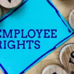 Με την πλήρη ψηφιοποίηση των υπηρεσιών του ΕΦΚΑ το 2026, η εφαρμογή «MyΕΦΚΑ Live» έχει αναβαθμιστεί, προσφέροντας άμεση ενημέρωση για την ασφαλιστική ικανότητα και το ιστορικό της απασχόλησης.