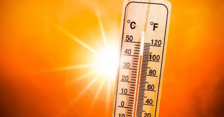 Όταν οι υψηλές θερμοκρασίες επιβάλλουν τη διακοπή των εργασιών ή τη μεταφορά τους σε απογευματινές και βραδινές ώρες, οποιαδήποτε ώρα απασχόλησης πέραν του συμφωνημένου ημερήσιου ωραρίου καταγράφεται αυτόματα ως υπερεργασία, αρκεί να έχει προηγηθεί η τροποποίηση του προγραμματισμού στο σύστημα.