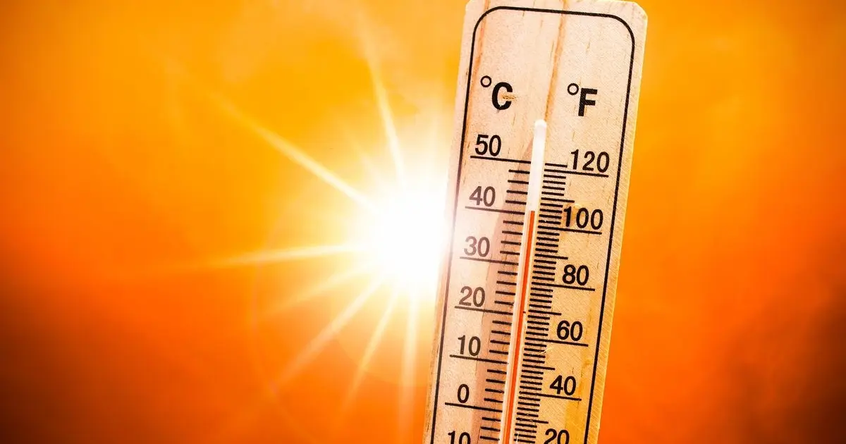 Όταν οι υψηλές θερμοκρασίες επιβάλλουν τη διακοπή των εργασιών ή τη μεταφορά τους σε απογευματινές και βραδινές ώρες, οποιαδήποτε ώρα απασχόλησης πέραν του συμφωνημένου ημερήσιου ωραρίου καταγράφεται αυτόματα ως υπερεργασία, αρκεί να έχει προηγηθεί η τροποποίηση του προγραμματισμού στο σύστημα.