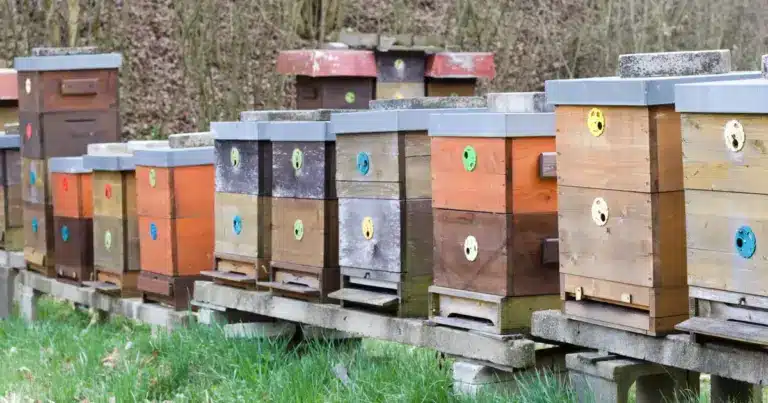 Οι νέες επιδοτήσεις της ΕΕ που ενεργοποιήθηκαν για την Κρήτη και τη Χαλκιδική προσφέρουν 100% χρηματοδότηση σε νέους καλλιεργητές, καλύπτοντας πλήρως τα έξοδα πρώτης εγκατάστασης και αγοράς εξοπλισμού χωρίς την ανάγκη ιδιαιτέρων κεφαλαίων.