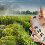 Με το νέο ψηφιακό μητρώο, οι πληγέντες αγρότες από τον τρέχοντα καύσωνα πρόκειται να λάβουν τις άμεσες αποζημιώσεις τους ταχύτερα από κάθε άλλη φορά, καθώς η αυτόματη διασταύρωση στοιχείων καταργεί τις χρονοβόρες γραφειοκρατικές διαδικασίες του παρελθόντος. Η ψηφιοποίηση των δεδομένων μέσω του αναβαθμισμένου Μητρώου Αγροτών και Αγροτικών Εκμεταλλεύσεων (ΜΑΑΕ) σε συνεργασία με τον ΕΛΓΑ φέρνει επανάσταση στον τρόπο που καταγράφονται οι απώλειες στη φυτική παραγωγή και το ζωικό κεφάλαιο, επιτρέποντας την εκταμίευση των χρημάτων μέσα σε λίγες εβδομάδες από την ολοκλήρωση των ελέγχων.