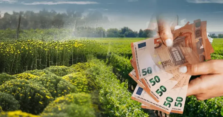 Με το νέο ψηφιακό μητρώο, οι πληγέντες αγρότες από τον τρέχοντα καύσωνα πρόκειται να λάβουν τις άμεσες αποζημιώσεις τους ταχύτερα από κάθε άλλη φορά, καθώς η αυτόματη διασταύρωση στοιχείων καταργεί τις χρονοβόρες γραφειοκρατικές διαδικασίες του παρελθόντος. Η ψηφιοποίηση των δεδομένων μέσω του αναβαθμισμένου Μητρώου Αγροτών και Αγροτικών Εκμεταλλεύσεων (ΜΑΑΕ) σε συνεργασία με τον ΕΛΓΑ φέρνει επανάσταση στον τρόπο που καταγράφονται οι απώλειες στη φυτική παραγωγή και το ζωικό κεφάλαιο, επιτρέποντας την εκταμίευση των χρημάτων μέσα σε λίγες εβδομάδες από την ολοκλήρωση των ελέγχων.