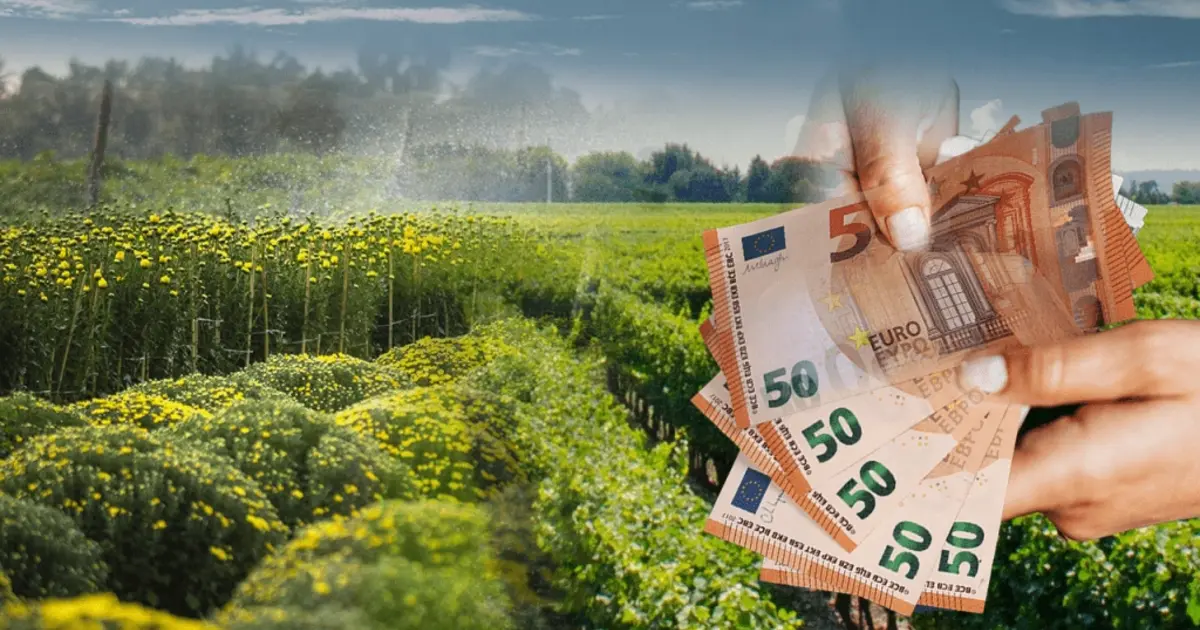 Με το νέο ψηφιακό μητρώο, οι πληγέντες αγρότες από τον τρέχοντα καύσωνα πρόκειται να λάβουν τις άμεσες αποζημιώσεις τους ταχύτερα από κάθε άλλη φορά, καθώς η αυτόματη διασταύρωση στοιχείων καταργεί τις χρονοβόρες γραφειοκρατικές διαδικασίες του παρελθόντος. Η ψηφιοποίηση των δεδομένων μέσω του αναβαθμισμένου Μητρώου Αγροτών και Αγροτικών Εκμεταλλεύσεων (ΜΑΑΕ) σε συνεργασία με τον ΕΛΓΑ φέρνει επανάσταση στον τρόπο που καταγράφονται οι απώλειες στη φυτική παραγωγή και το ζωικό κεφάλαιο, επιτρέποντας την εκταμίευση των χρημάτων μέσα σε λίγες εβδομάδες από την ολοκλήρωση των ελέγχων.