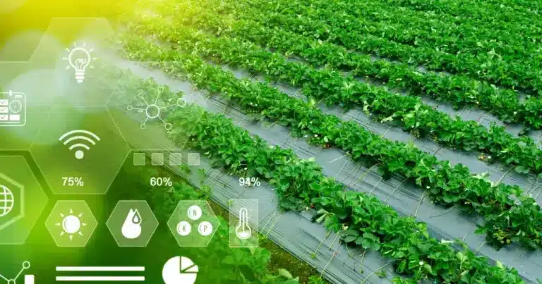 Η επιδότηση έχει αναλογικό χαρακτήρα και πιστώνεται απευθείας στους λογαριασμούς των δικαιούχων μετά την επιτυχή συμμετοχή τους στις τελικές εξετάσεις πιστοποίησης.
