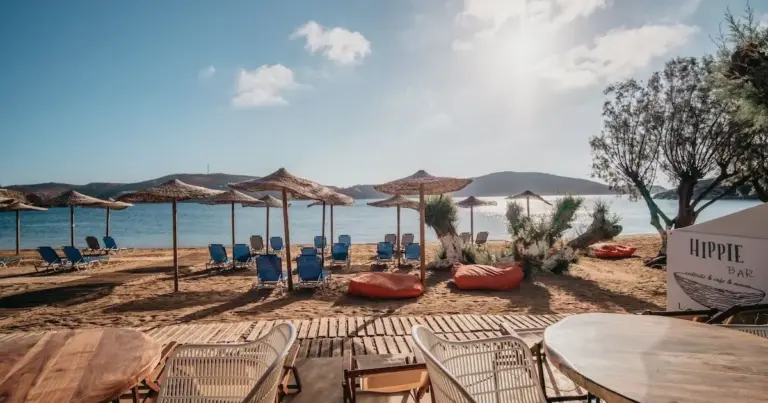 Η νέα αυτή στρατηγική, η οποία βρίσκεται σε πλήρη εξέλιξη, στοχεύει στην πάταξη της υποδηλωμένης εργασίας, των εικονικών ρεπό και της μη τήρησης του ωραρίου μέσω της Ψηφιακής Κάρτας Εργασίας, σε επιχειρήσεις που παραδοσιακά παρουσιάζουν υψηλή παραβατικότητα κατά τη θερινή περίοδο.