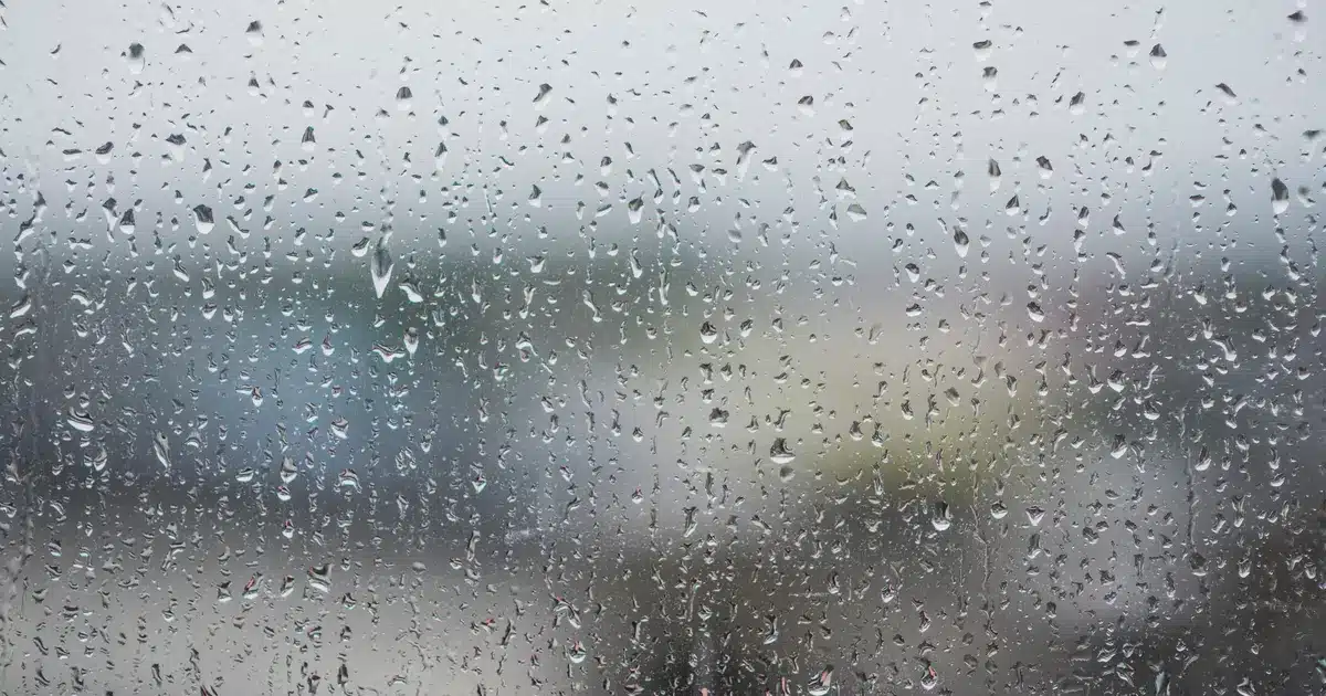 Η ασφάλιση και η καταγραφή του χρόνου εργασίας των υπαλλήλων στους δήμους μέσω της Ψηφιακής Κάρτας Εργασίας κατά τη διάρκεια έκτακτων καιρικών φαινομένων θωρακίζεται πλέον με ειδικές προβλέψεις, διασφαλίζοντας ότι η υπερωριακή απασχόληση στην πολιτική προστασία καταγράφεται αυτόματα και δεν χάνεται κανένα ένσημο ή μεροκάματο. Το καθεστώς αυτό αφορά χιλιάδες εργαζόμενους στην τοπική αυτοδιοίκηση, κυρίως σε υπηρεσίες αιχμής όπως η καθαριότητα, το πράσινο και τα τεχνικά συνεργεία, οι οποίοι καλούνται να αντιμετωπίσουν ακραία φαινόμενα (καύσωνες, παγετούς ή πλημμύρες) εκτός του συμβατικού τους ωραρίου.