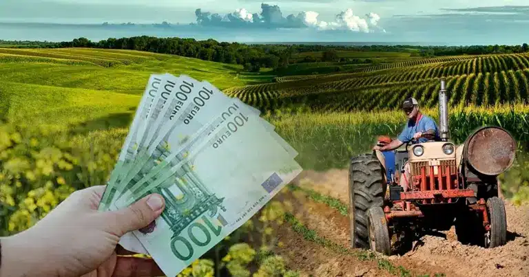 Η νέα αυτή διαδικασία αποτελεί το βασικό «διαβατήριο» για την πληρωμή των προκαταβολών της βασικής ενίσχυσης που προγραμματίζονται για το φθινόπωρο, καθώς συνδέει αυτόματα τα δηλωθέντα αγροτεμάχια με τα φορολογικά και παραγωγικά δεδομένα της ΑΑΔΕ.