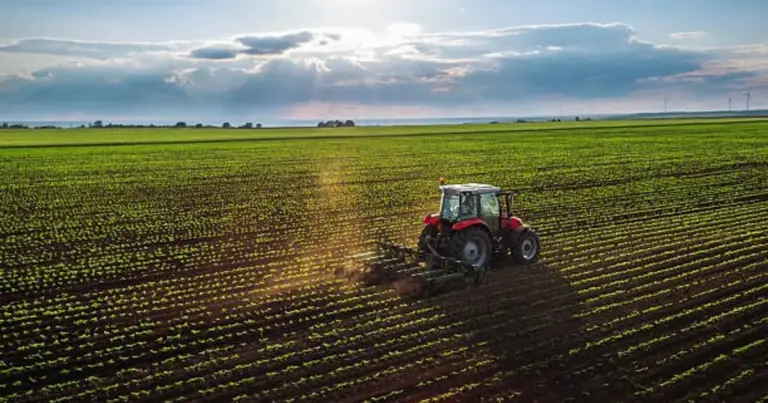 Η νέα πλατφόρμα myAgro διασταυρώνει αυτόματα τα δεδομένα των δηλώσεων ΟΣΔΕ με τα συστήματα του ΟΠΕΚΕΠΕ, εξασφαλίζοντας την ταχύτερη και ακριβέστερη καταβολή των προκαταβολών στους δικαιούχους αγρότες.