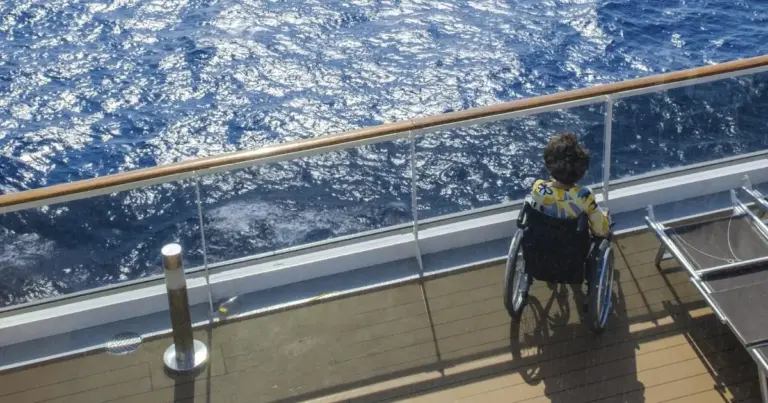 Η ψηφιακή κάρτα αναπηρίας φέρει ειδική σήμανση (σήμα «K» ή αναγραφή συνοδού, εφόσον δικαιολογείται), η οποία αποδεικνύει την ιδιότητα του δικαιούχου χωρίς την προσκόμιση φυσικών πιστοποιητικών ή απόρρητων ιατρικών εγγράφων.