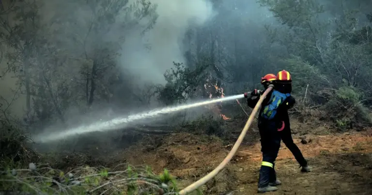 Η ένταξη των νέων αυτών εγγράφων στο ψηφιακό αποθετήριο επιτρέπει στους πολίτες και τους εθελοντές να επιδεικνύουν τα στοιχεία τους με ασφάλεια και εγκυρότητα σε κάθε έλεγχο.