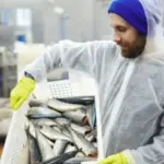 Οι μισθωτοί σε επιχειρήσεις επεξεργασίας αλιευμάτων δικαιούνται το ειδικό εποχικό βοήθημα της ΔΥΠΑ για το 2026, εφόσον συμπλήρωσαν από 50 έως 210 ημέρες ασφάλισης στον κλάδο τους κατά το προηγούμενο ημερολογιακό έτος (2025).